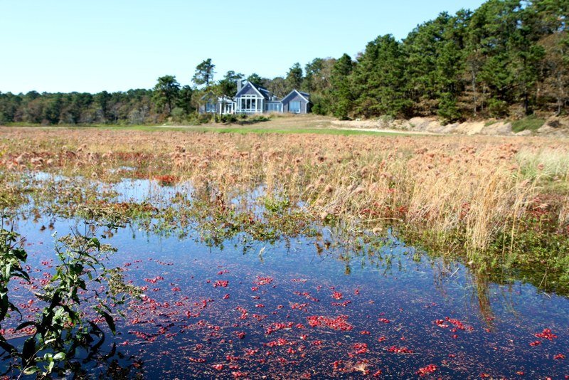 316 Crowells Bog Road, Brewster, MA 02631 SOLD LISTING, MLS