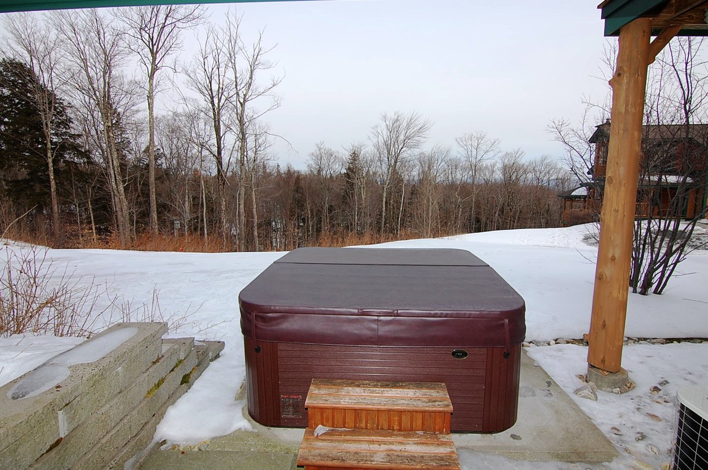 Sold Stratton Mountain Resort Area, VT 05155 3 Beds / 3 Full Baths