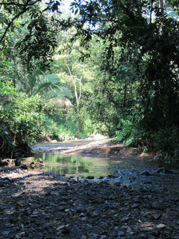 Rio Seco Estate, Manuel Antonio, Quepos, Quepos, Puntarenas, Costa Rica ...