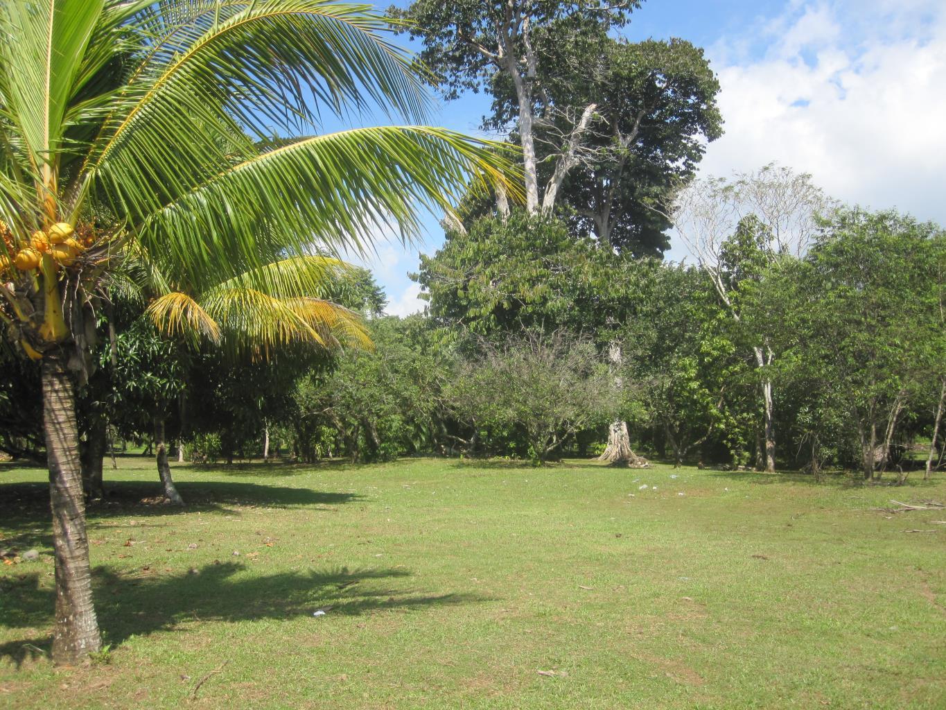 Beachfront Dreams, Matapalo, Manuel Antonio, Savegre, Quepos