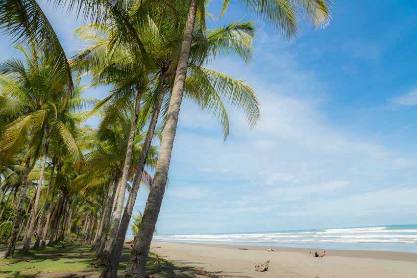 Hacienda Playa Bejuco Hacienda Playa Bejuco Bejuco Jaco Parrita Parrita Puntarenas Costa Rica Bejuco 2costa Rica Real Estate - 