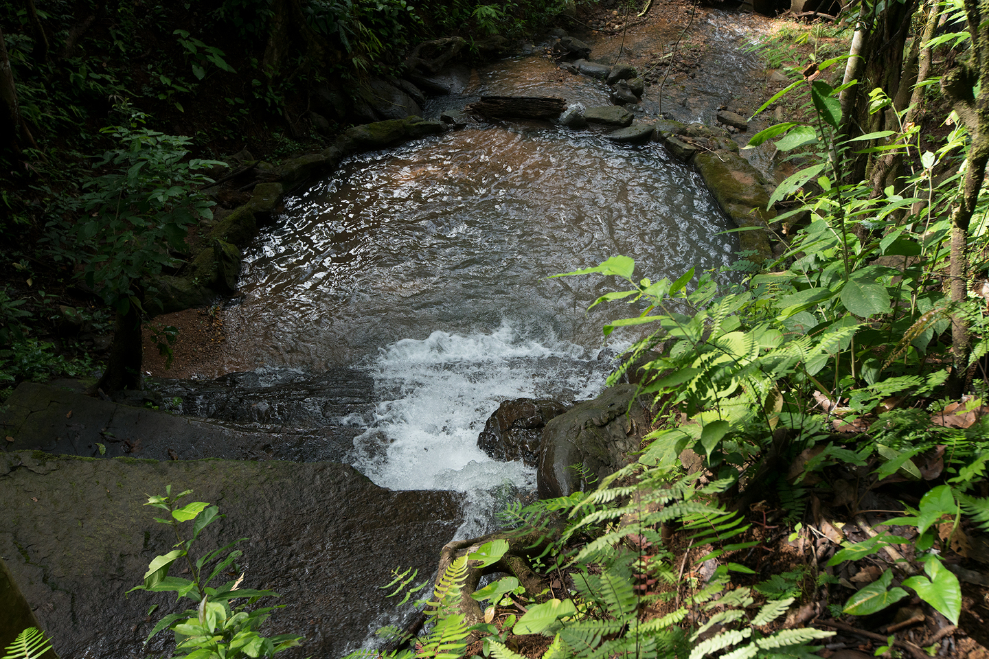 For Sale 34 Acre Ocean View Farm With Waterfalls In Platanillo