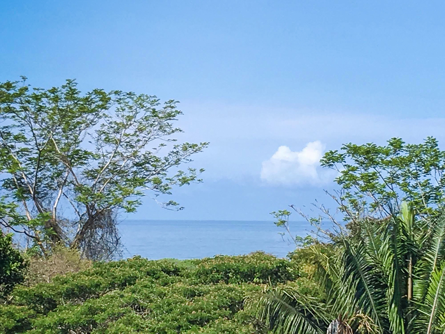 For Sale Manzanillo Development Land , Manzanillo, Santa Teresa