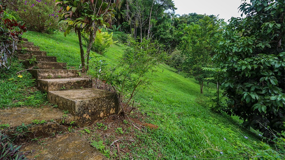 For Sale Tinamaste Home With Rental Cabins And Diamante Waterfall