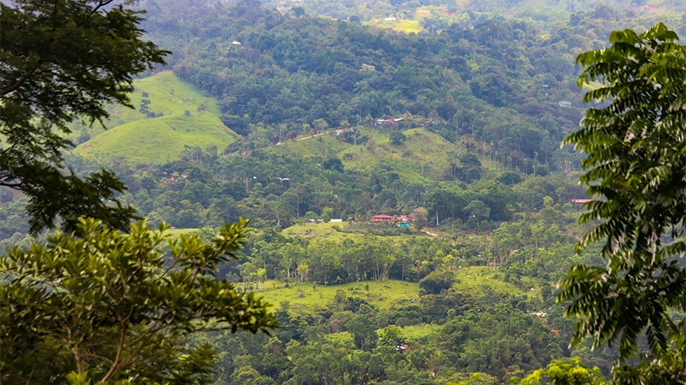 For Sale Tinamaste Home With Rental Cabins And Diamante Waterfall