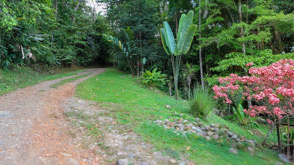 Sold Tinamaste Home With Rental Cabins And Diamante Waterfall Views