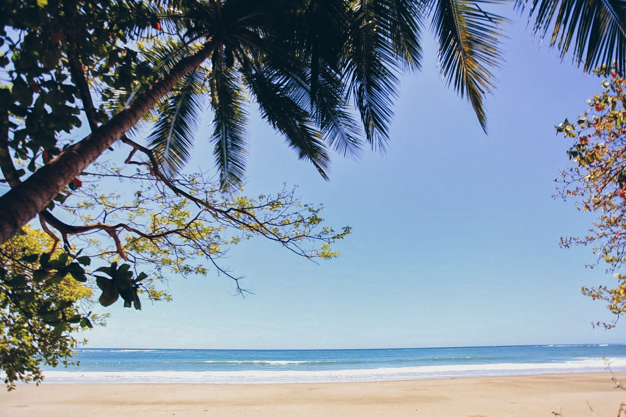 Sold Manzanillo Ocean View And Beachfront Lot, Manzanillo, Santa