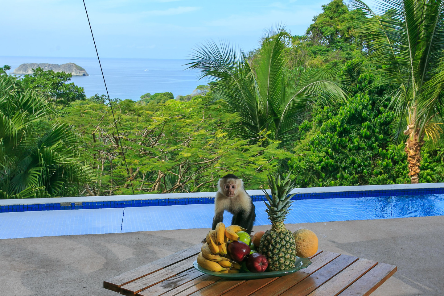 Stunning Architectural Gem Villa Cielo Dulce , Manuel Antonio, Quepos