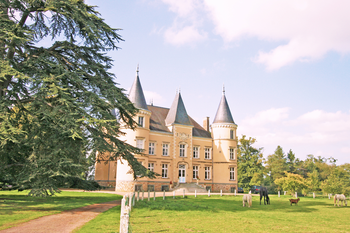 19 Th Century Fairytale Chateau In Loire Valley, Laval, Pays de la