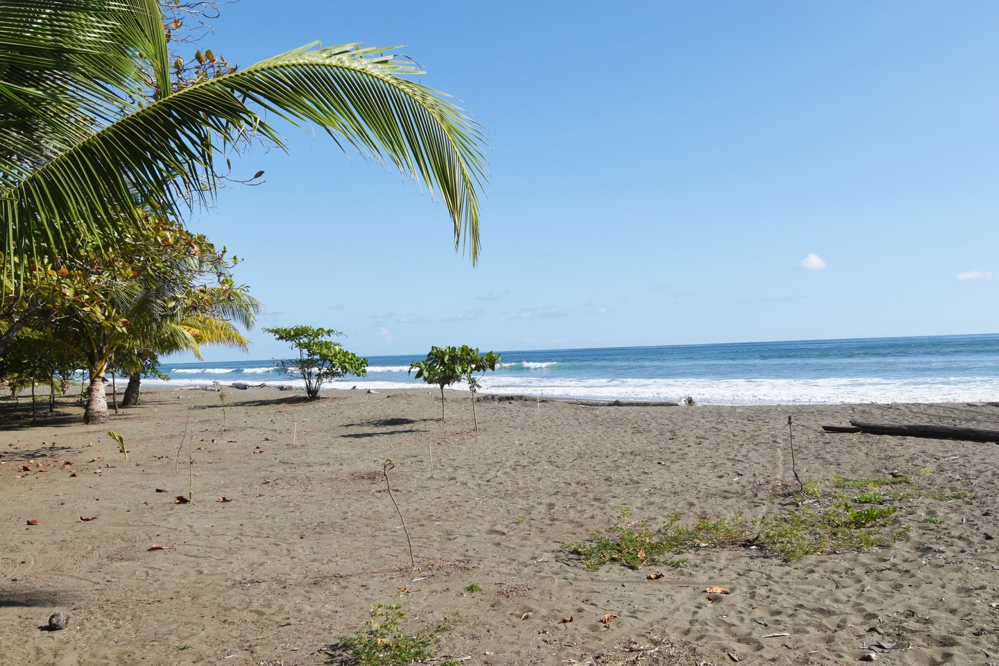 Sold Matapalo Beach House With Pool, Matapalo, Manuel Antonio, Savegre