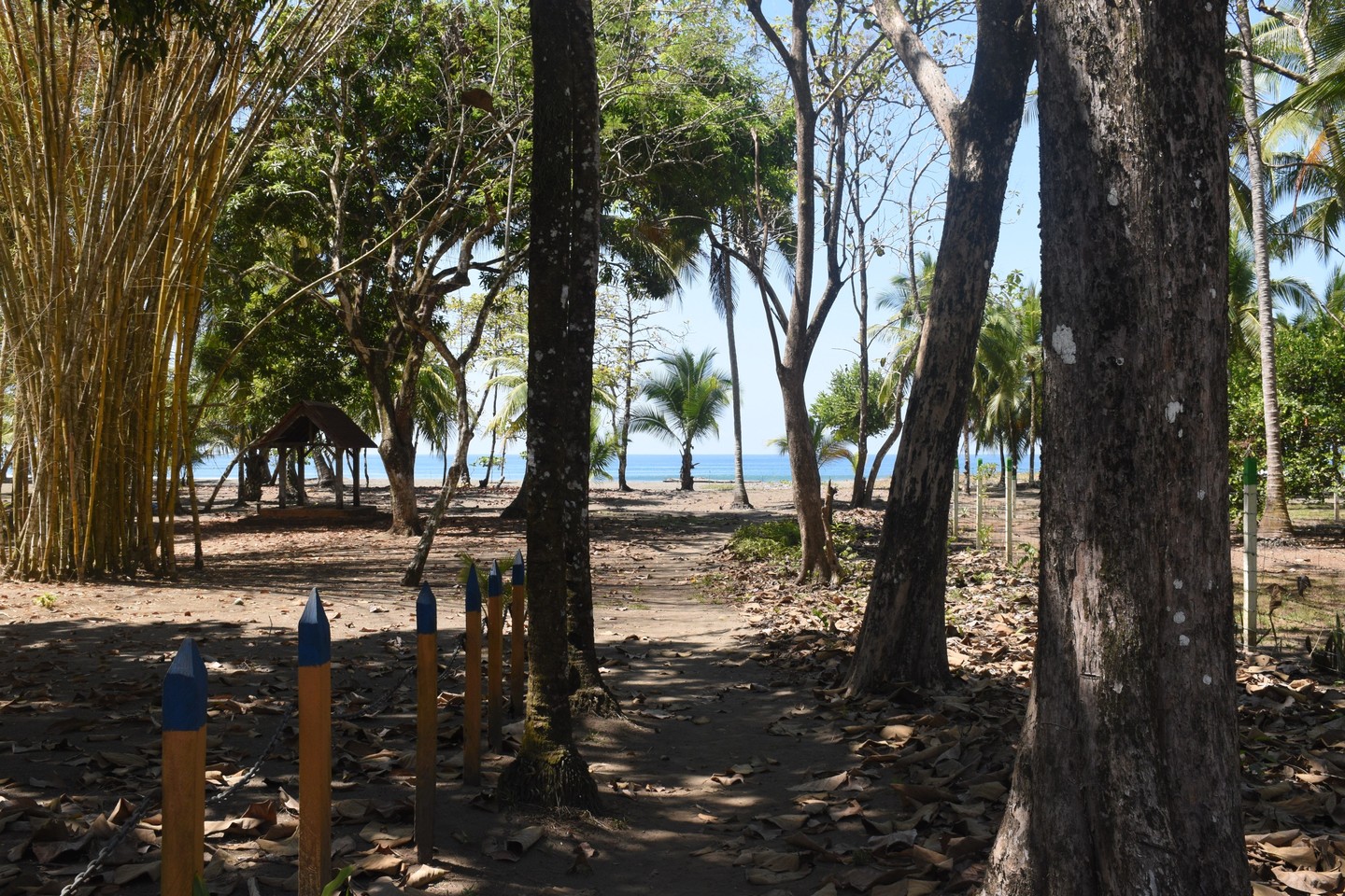 Sold Matapalo Beach House With Pool, Matapalo, Manuel Antonio, Savegre