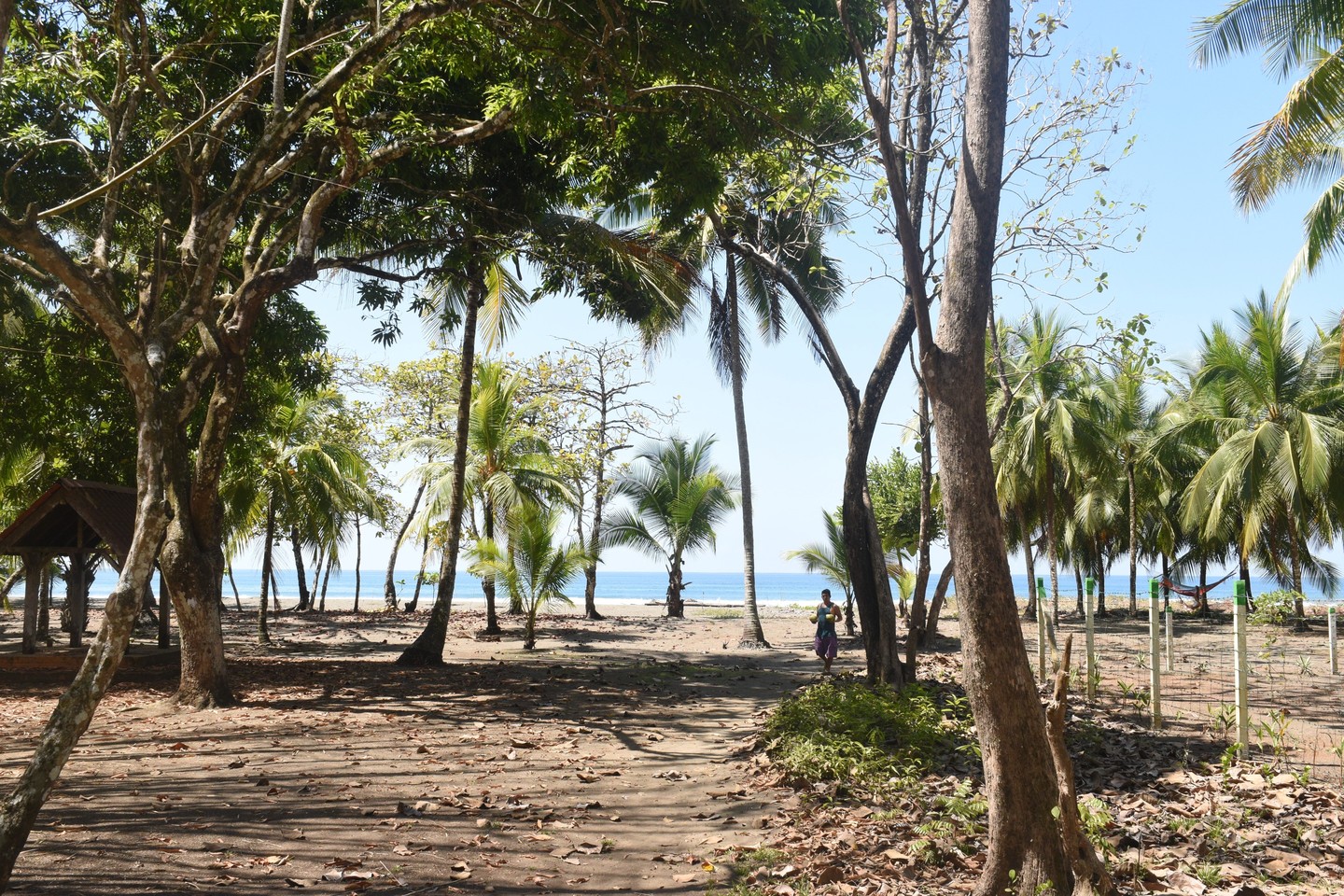 Sold Matapalo Beach House With Pool, Matapalo, Manuel Antonio, Savegre