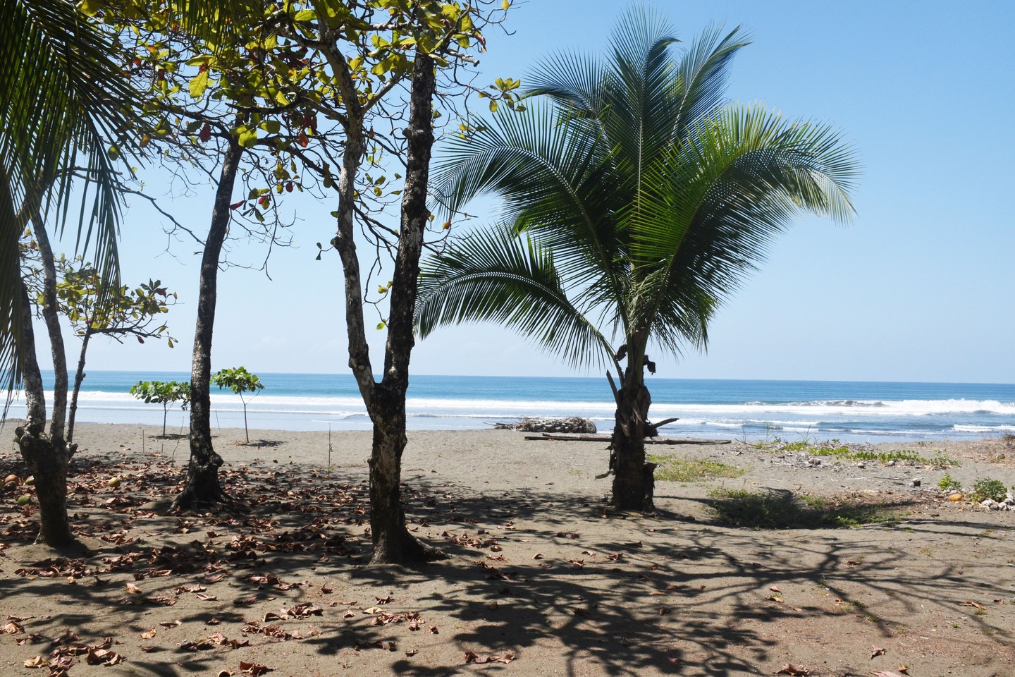 Sold Matapalo Beach House With Pool, Matapalo, Manuel Antonio, Savegre