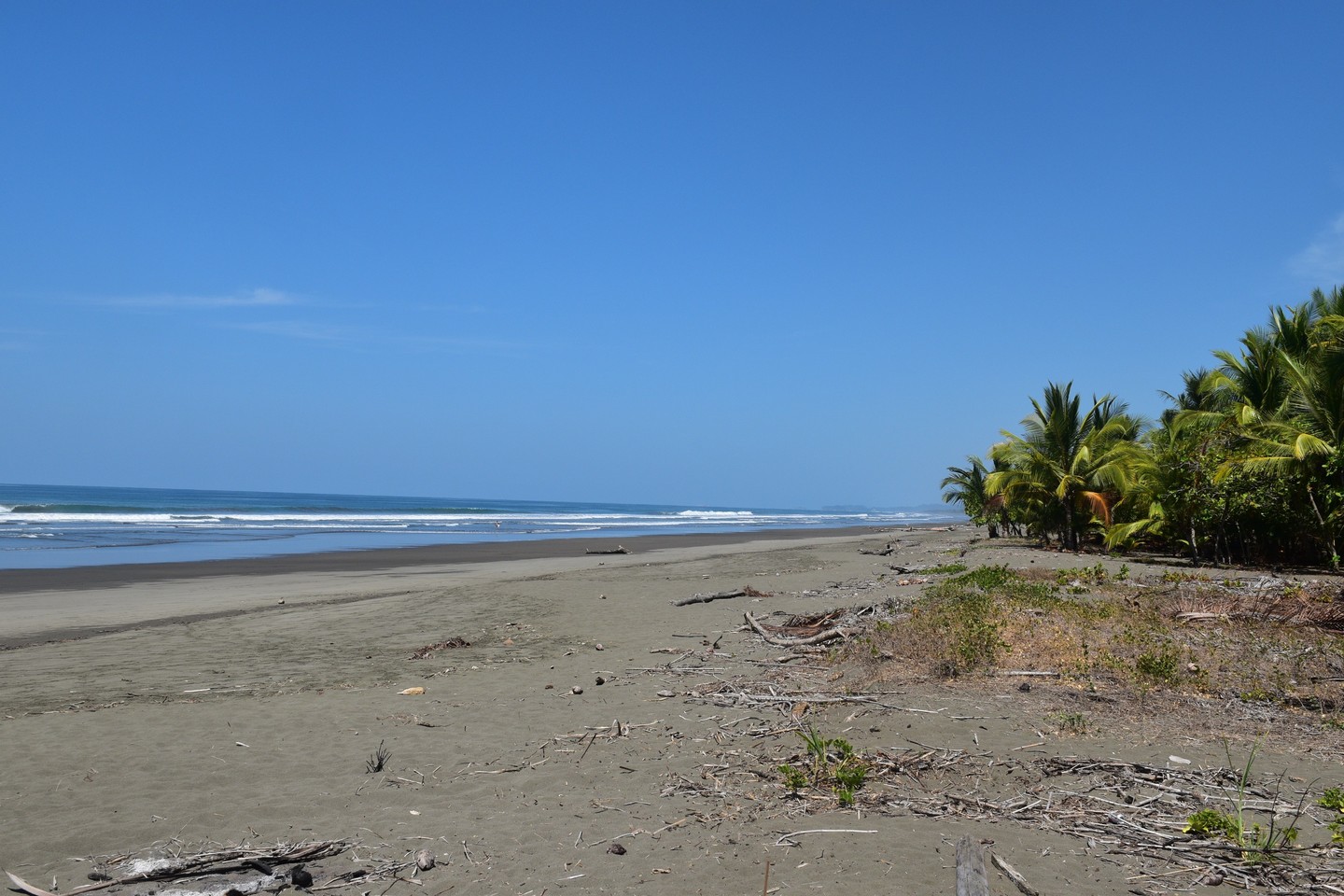 Sold: Matapalo Beach House With Pool, Matapalo, Manuel Antonio, Savegre ...