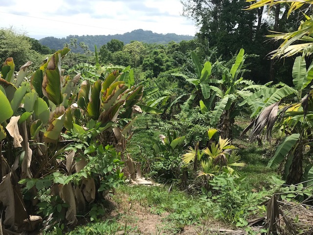 For Sale: Spacious Ocean View Lot In Escaleras, Marina Vista, Escaleras