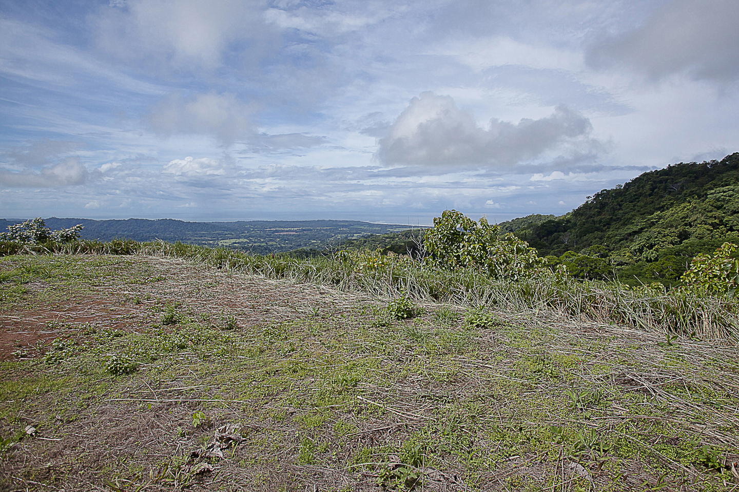 For Sale Hermosa Ocean View Lots With Teak Farm Playa Hermosa Jaco Garabito Puntarenas Costa Rica Playa Hermosa 98 0 Hectares