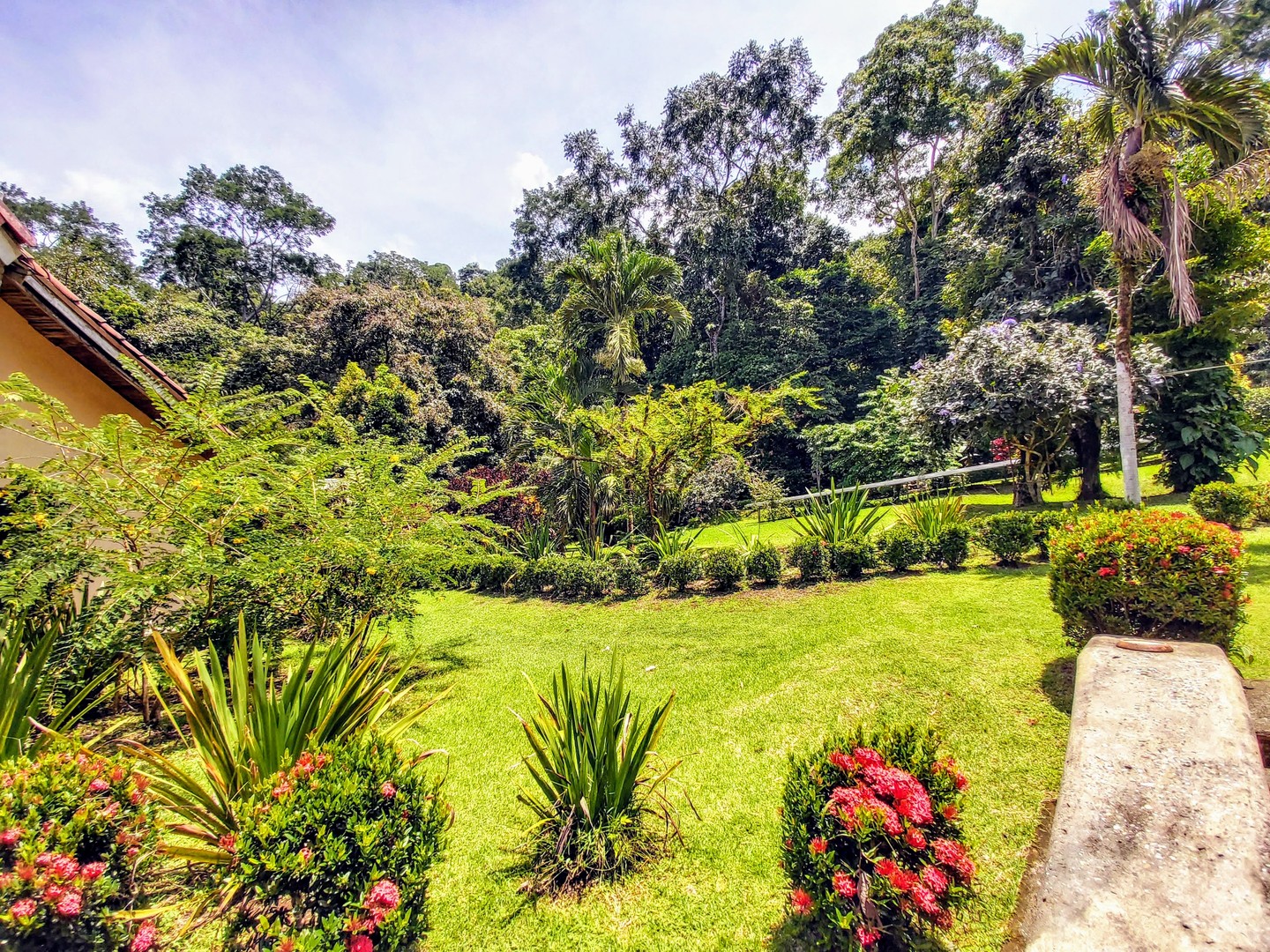 For Sale 120 Acre Luxury Ocean Front Estate, Golfito, Osa, Puntarenas