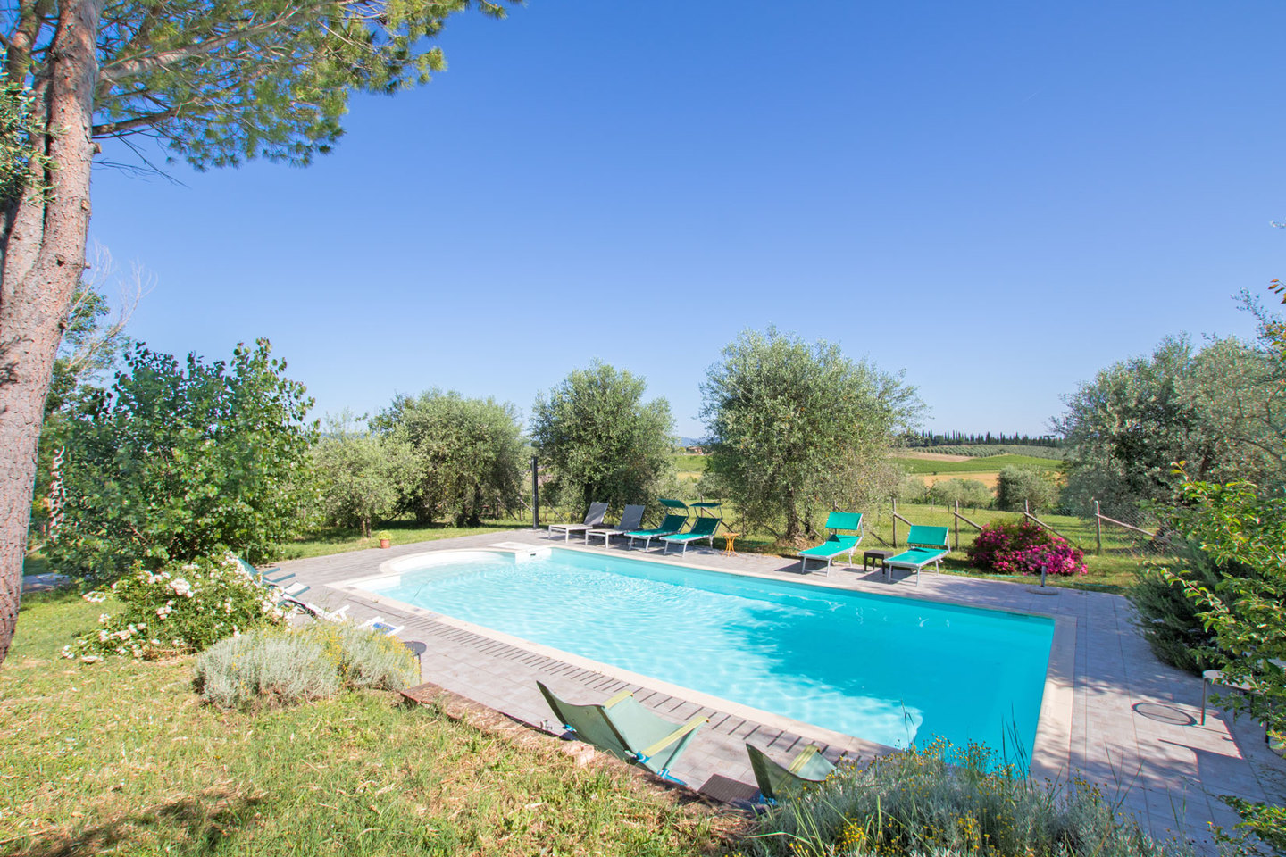 For Sale For Sale Organic Farmhouse With Pool In Tuscany, Tuscany