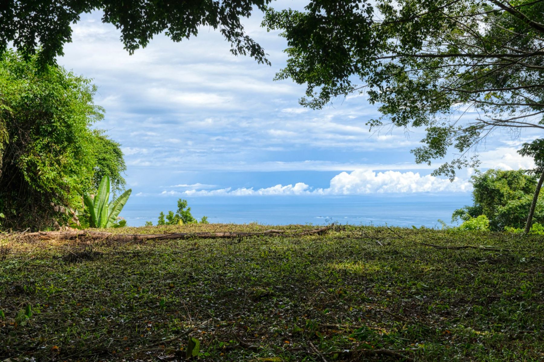 For Sale Fantastic Home Site Land With Clean Ocean And Jungle Views In Playa Hermosa 2 Acres Uvita Dominical Bahia Ballena Osa Puntarenas Costa Rica Uvita