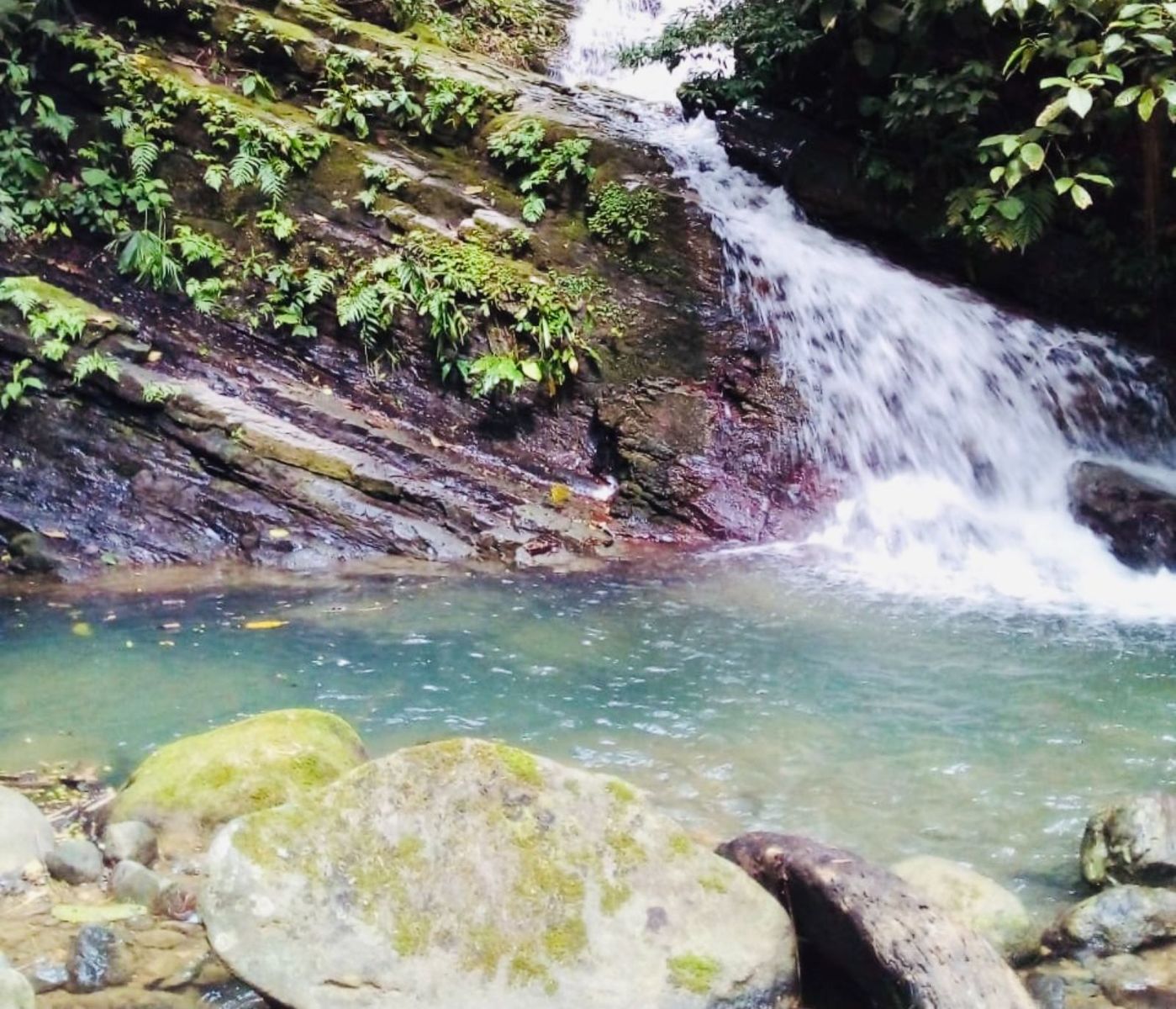 42 Acre Farm With Private Waterfalls Near Lagunas, Lagunas, Dominical ...